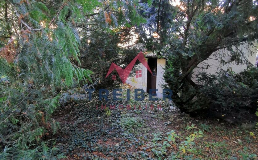 BELFORT immeuble de 220m2 pour investisseurs garage atelier caves greniers