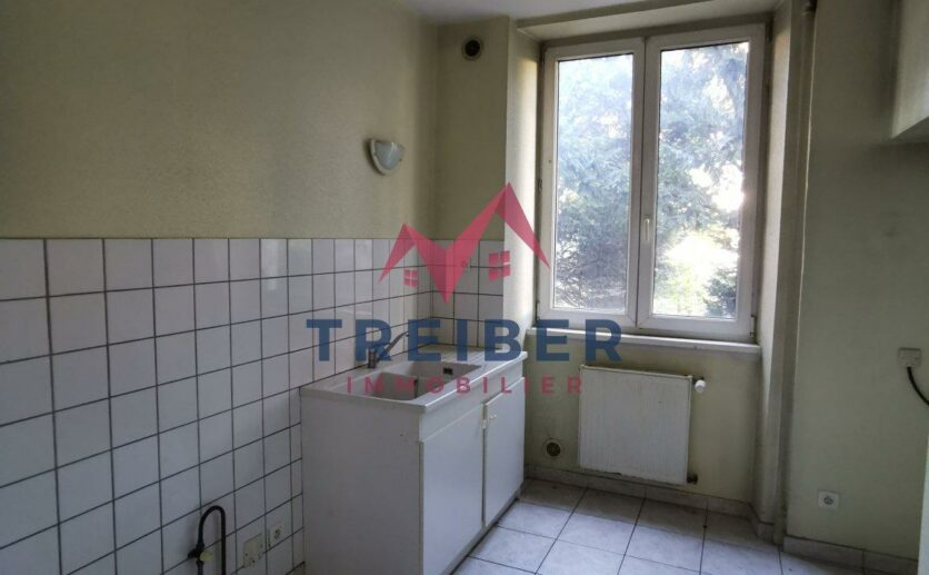 BELFORT immeuble de 220m2 pour investisseurs garage atelier caves greniers