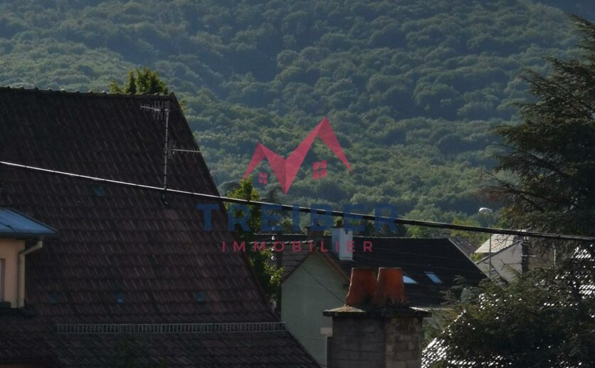Appartement 2eme et dernier étage avec 3 pièces à vendre à Belfort pour investisseurs