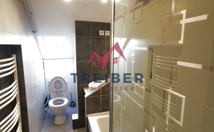 Appartement 2eme et dernier étage avec 3 pièces à vendre à Belfort pour investisseurs