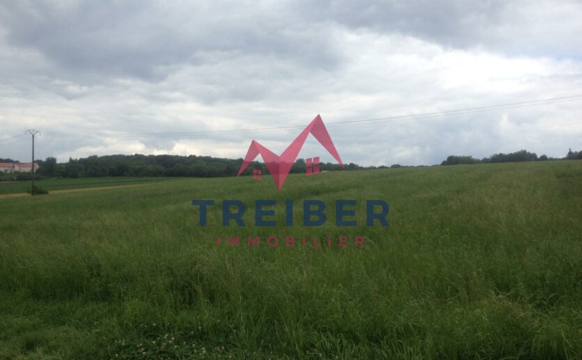 Evette-salbert terrain 700 m2 vue sur les Vosges