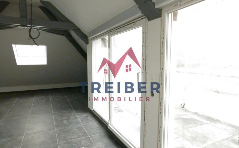 Appartement terrasse Belfort en vente avec Treiber immobilier