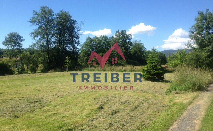 Terrain Roppe de 800 m2 à 1100 m2 entierement viabilisé