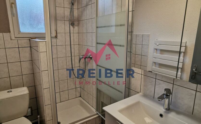 Investisseur lot de 4 appartements type studios meublés tous loués proche montbéliard