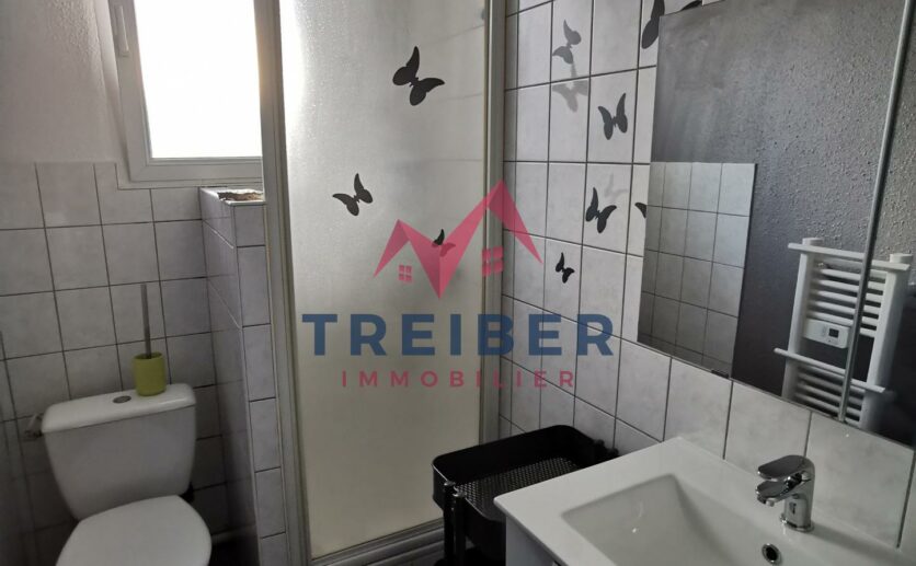 Investisseur lot de 4 appartements type studios meublés tous loués proche montbéliard
