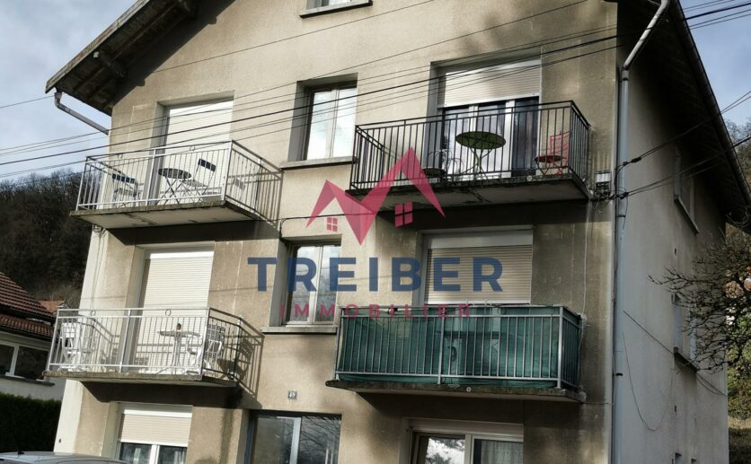 Investisseur lot de 4 appartements type studios meublés tous loués proche montbéliard