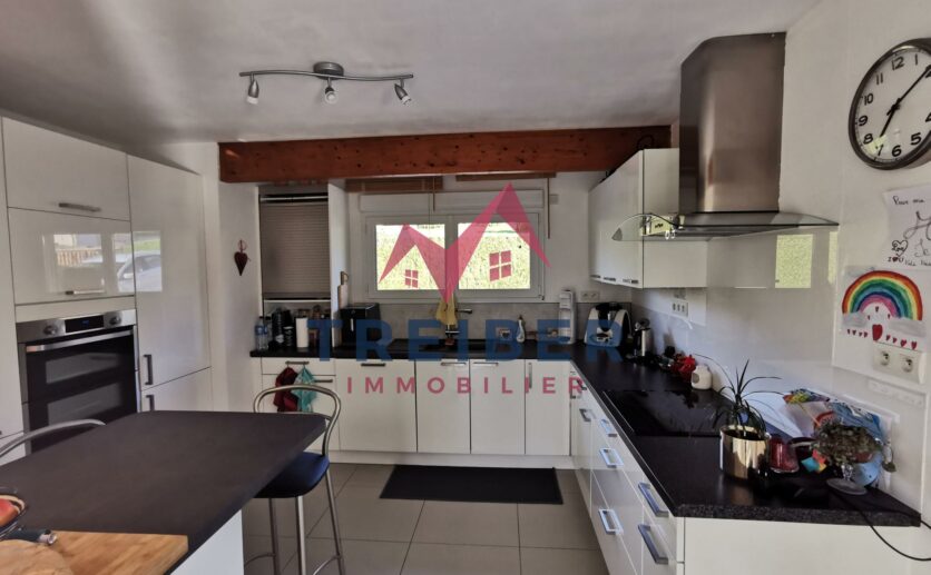 Maison Axe Belfort Lure sur sous sol avec magnifique véranda, terrasse attenante, double garage sur 12 ares de