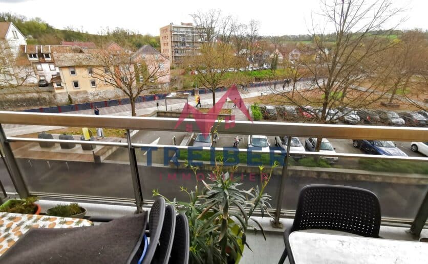 Belfort appartement dans immeuble de standing avec ascenseur; vue sur le lion et la savoureuse, deux balcons,