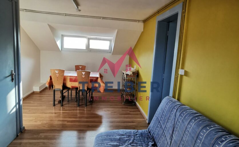 Montbéliard en première couronne sur la commune de Sochaux, appartement à vendre avec Treiber immobilier