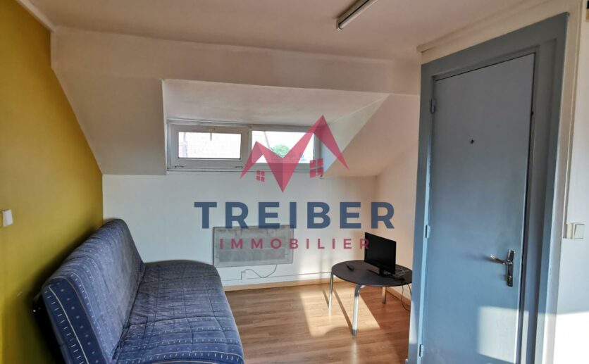 Montbéliard en première couronne sur la commune de Sochaux, appartement à vendre avec Treiber immobilier