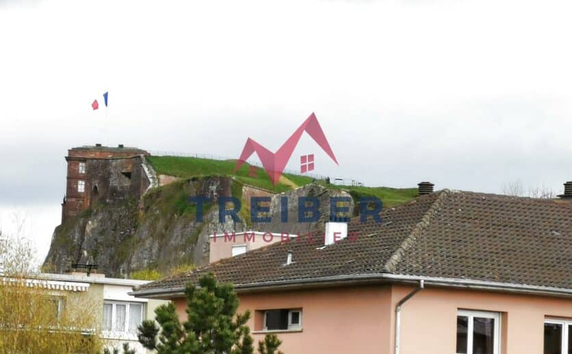 Belfort appartement dans immeuble de standing avec ascenseur; vue sur le lion et la savoureuse, deux balcons,