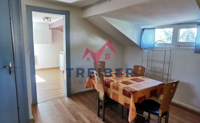 Montbéliard en première couronne sur la commune de Sochaux, appartement à vendre avec Treiber immobilier
