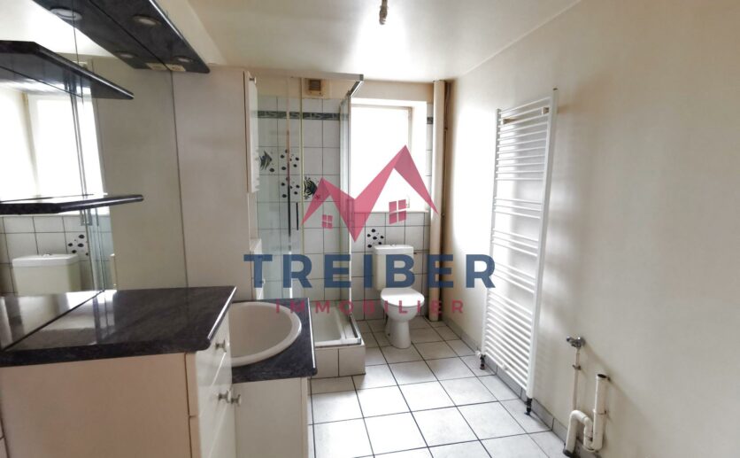 Maison Valdoie de 94 m2 sur 272 m2 de terrain au calme