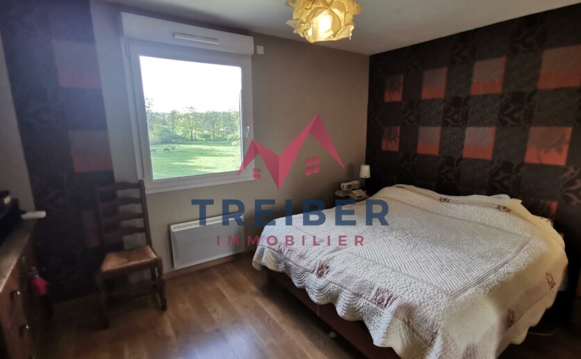 Maison Axe Belfort Lure sur sous sol avec magnifique véranda, terrasse attenante, double garage sur 12 ares de