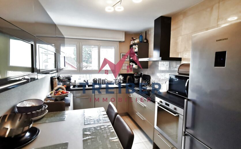 Belfort appartement dans immeuble de standing avec ascenseur; vue sur le lion et la savoureuse, deux balcons,