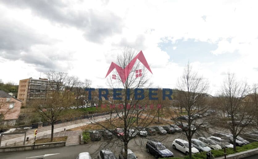 Belfort appartement dans immeuble de standing avec ascenseur; vue sur le lion et la savoureuse, deux balcons,