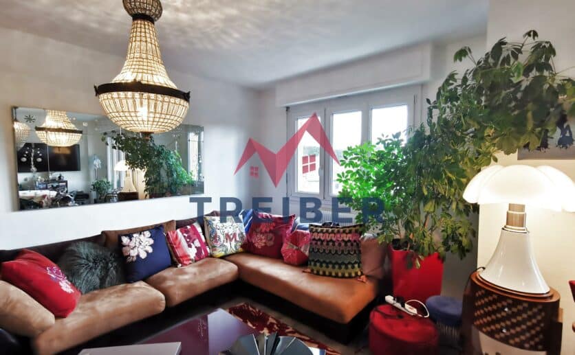 Belfort appartement dans immeuble de standing avec ascenseur; vue sur le lion et la savoureuse, deux balcons,