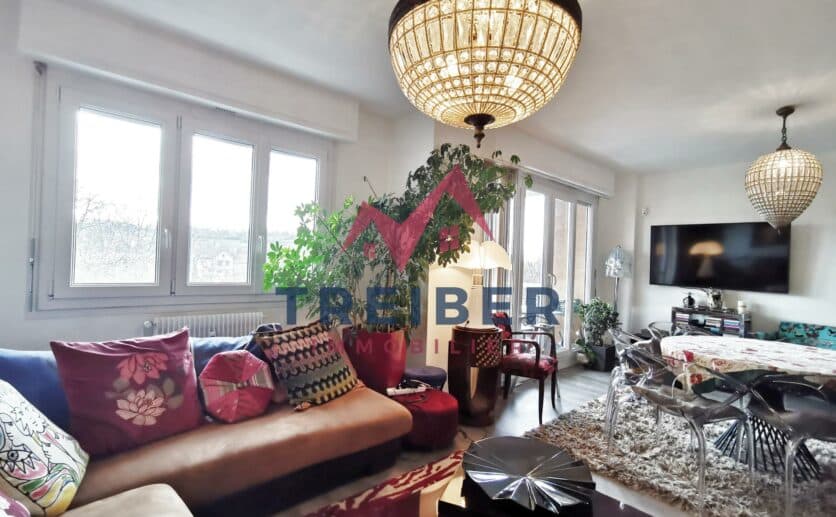 Belfort appartement dans immeuble de standing avec ascenseur; vue sur le lion et la savoureuse, deux balcons,