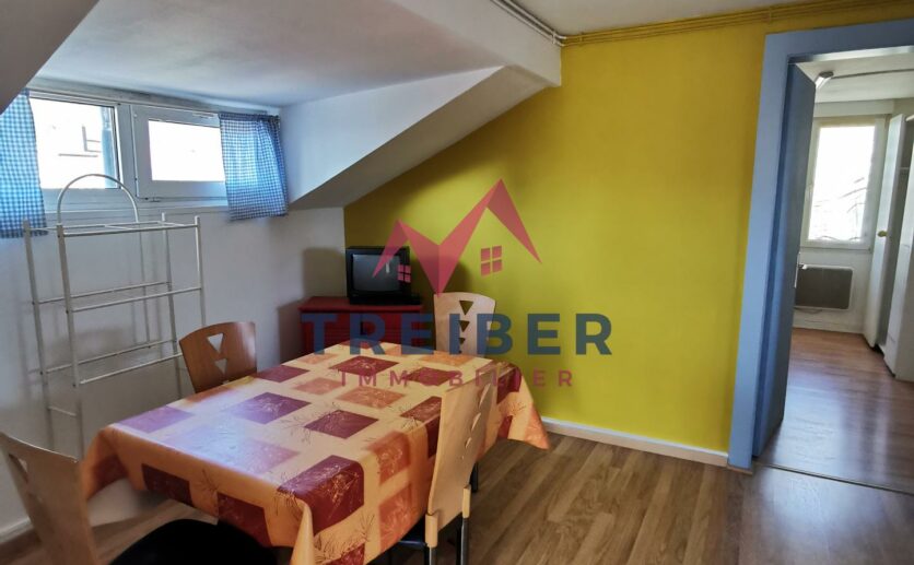 Montbéliard en première couronne sur la commune de Sochaux, appartement à vendre avec Treiber immobilier