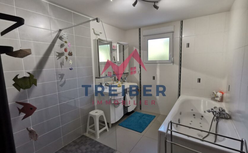 Maison Axe Belfort Lure sur sous sol avec magnifique véranda, terrasse attenante, double garage sur 12 ares de