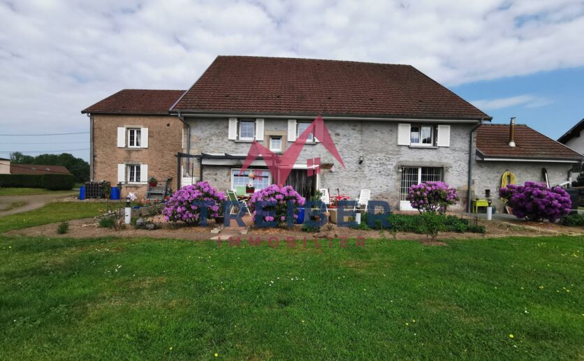 Ferme à acheter sur plus d 'un hectare sur axe Belfort Lure