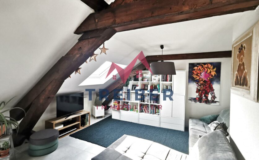 Appartement Belfort type T5 de 10266 m2 au sol et 7843 m2 loi carrez Cave garage privatif Proche secteur b