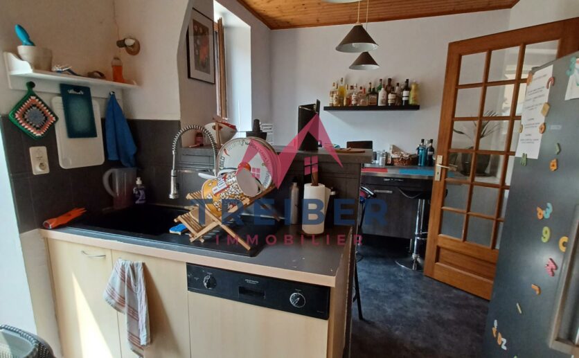 Appartement F4 Belfort en rez de jardin avec terrasse et garage