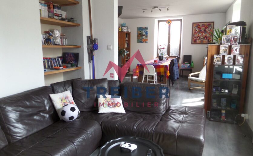 Appartement F4 Belfort en rez de jardin avec terrasse et garage