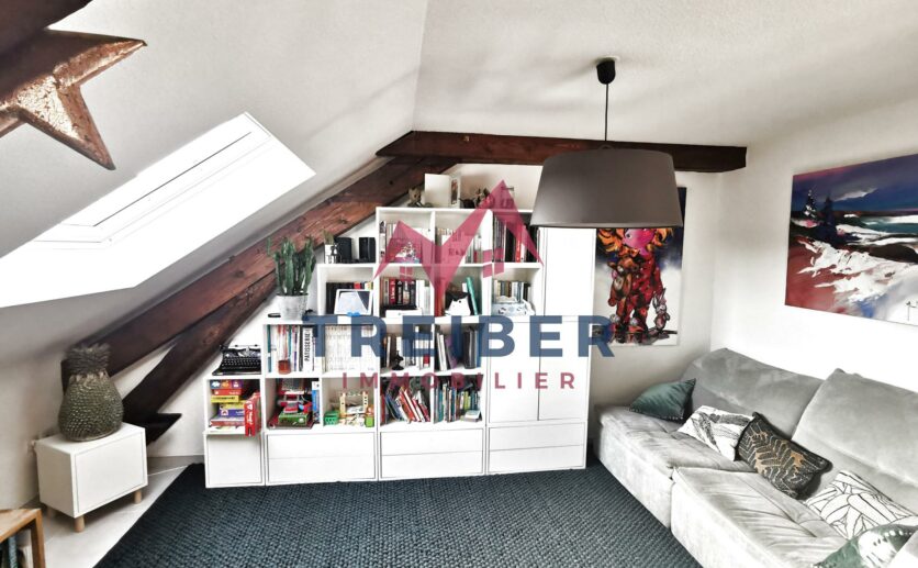 Appartement Belfort type T5 de 10266 m2 au sol et 7843 m2 loi carrez Cave garage privatif Proche secteur b