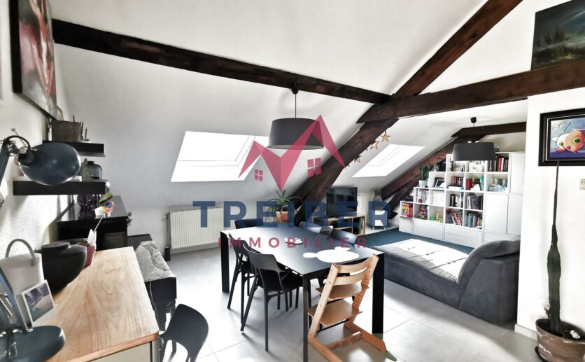 Appartement Belfort type T5 de 10266 m2 au sol et 7843 m2 loi carrez Cave garage privatif Proche secteur b