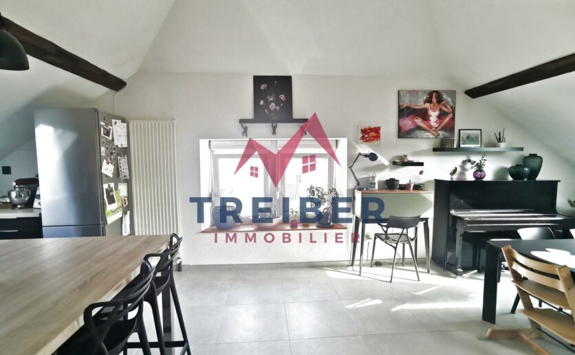Appartement Belfort type T5 de 10266 m2 au sol et 7843 m2 loi carrez Cave garage privatif Proche secteur b