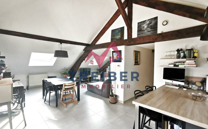 Appartement Belfort type T5 de 10266 m2 au sol et 7843 m2 loi carrez Cave garage privatif Proche secteur b