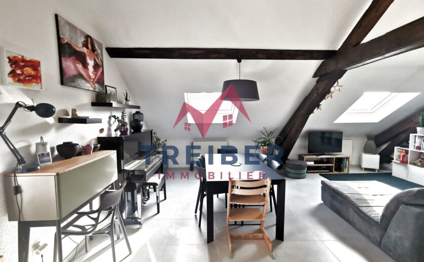 Appartement Belfort type T5 de 10266 m2 au sol et 7843 m2 loi carrez Cave garage privatif Proche secteur b