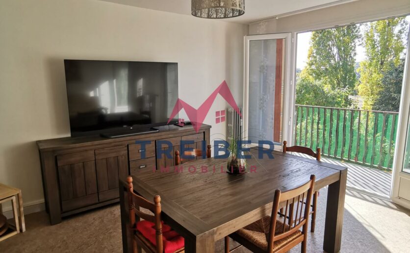 Belfort proche Cravanche : appartement T4 avec balcon garage et cave privés