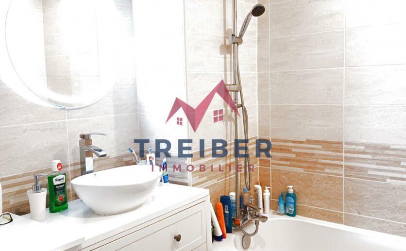 Appartement BELFORT 3 pièces