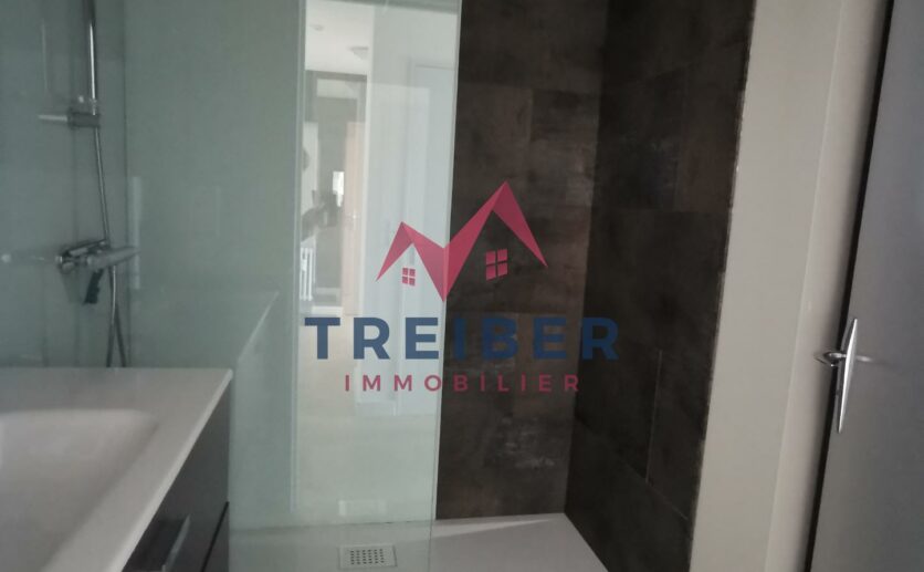 Belfort proche Cravanche : appartement T4 avec balcon garage et cave privés