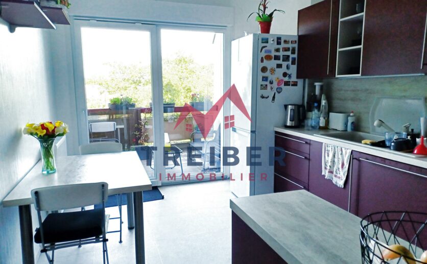 Appartement BELFORT 3 pièces