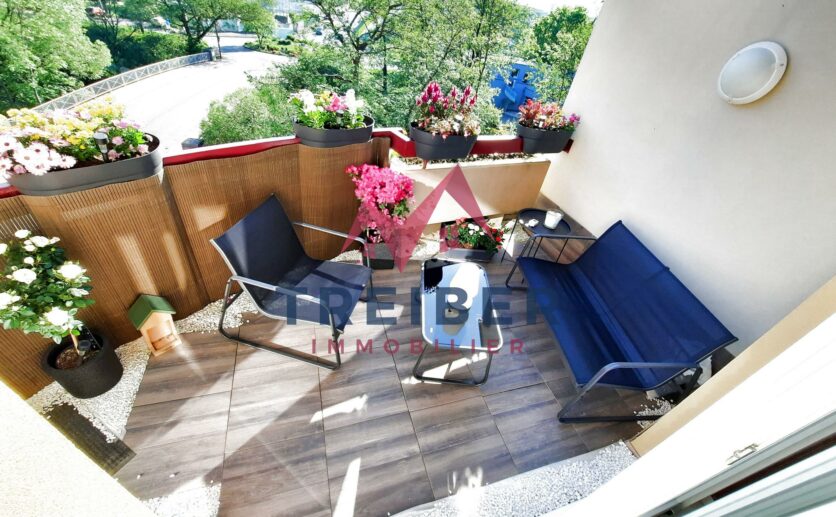 Appartement BELFORT 3 pièces