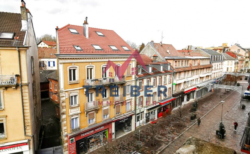 Appartement Belfort type Haussmannien, plein centre ville au calme agrémenté de trois balcons exposés Sud Oues