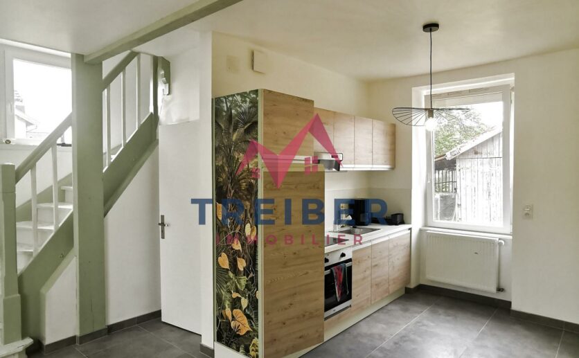 maison en duplex sur sous sol avec terrain privatif de 300 m2