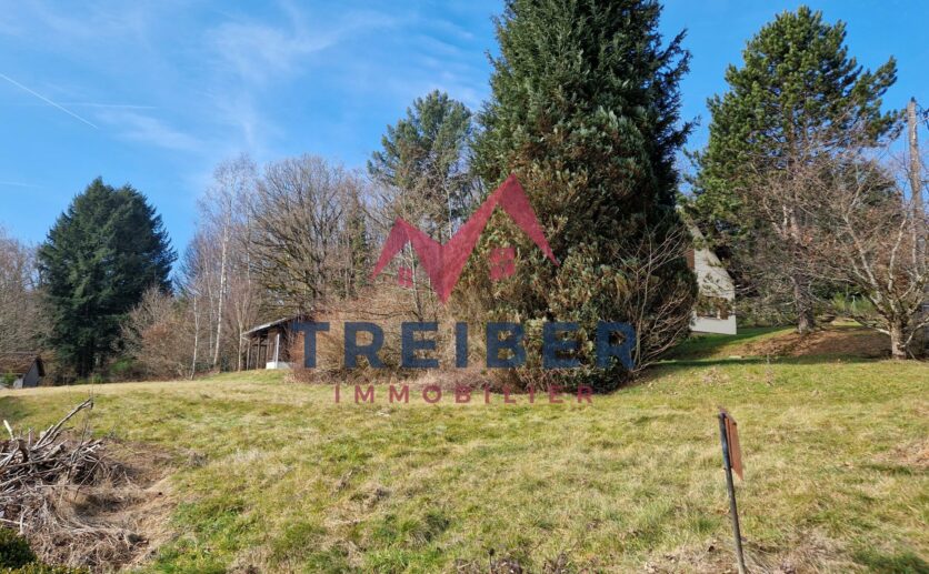Terrain constructible axe Belfort / Mulhouse