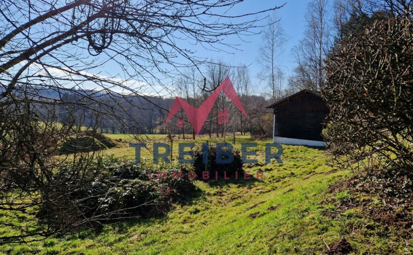Terrain constructible axe Belfort / Mulhouse