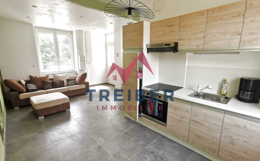 maison en duplex sur sous sol avec terrain privatif de 300 m2