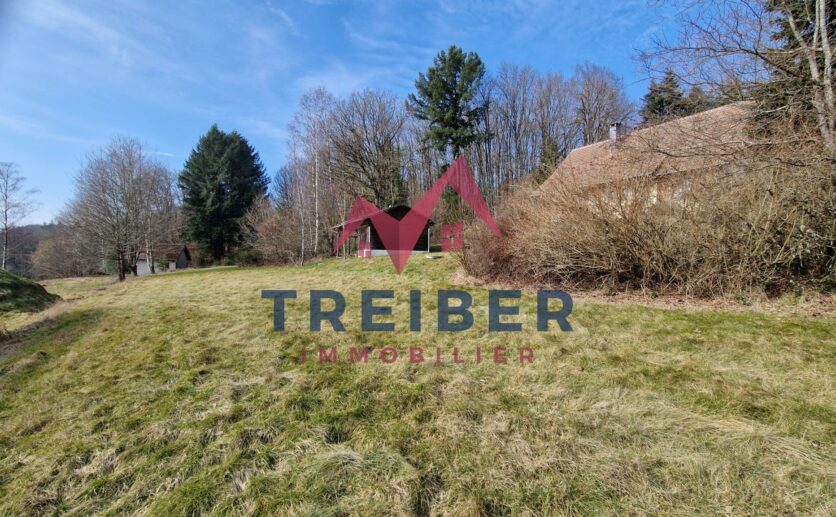 Terrain constructible axe Belfort / Mulhouse