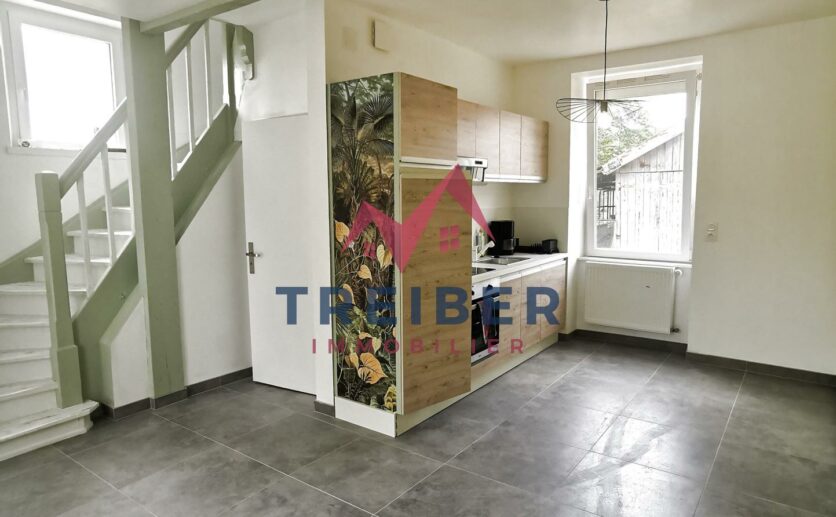 maison en duplex sur sous sol avec terrain privatif de 300 m2