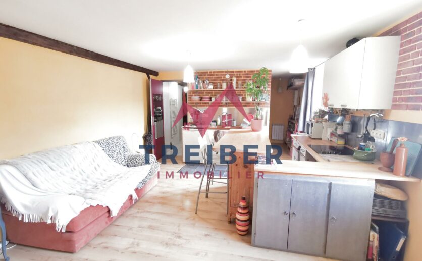 Maison Essert,  type ferme, façade en pierres apparentes de 201m2 avec terrasse,et  garage à vendre à Essert