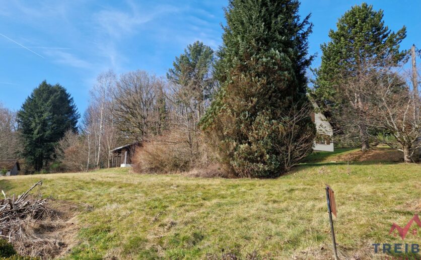 Terrain constructible axe Belfort / Mulhouse