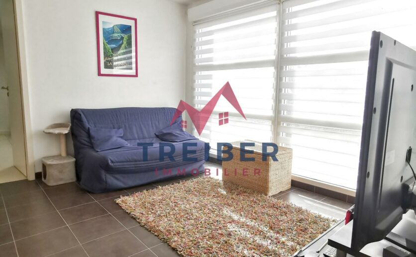 Maison 2009 à Chavannes-sur-l'Étang   4 Chambres, Terrain Privatif, Piscine Chauffée et Garage
