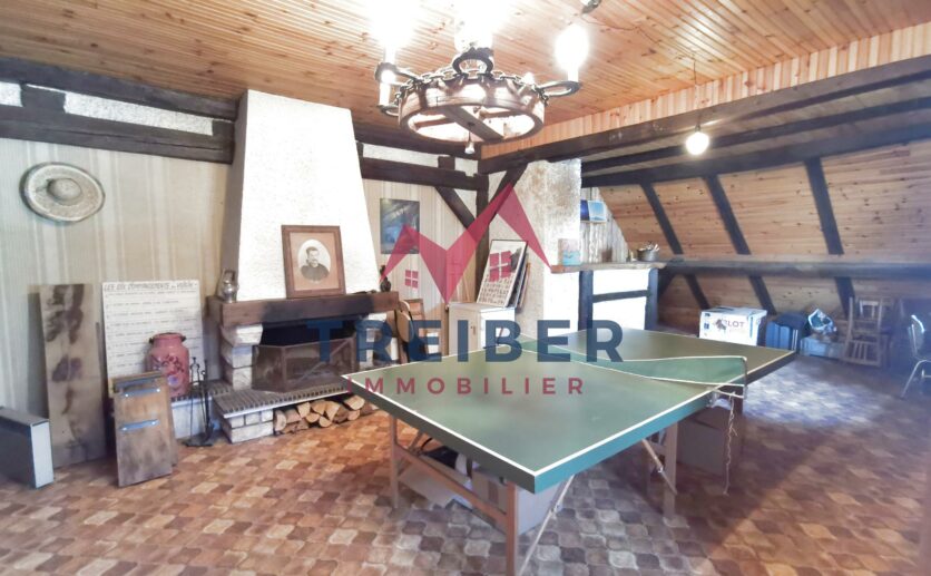 Maison Essert,  type ferme, façade en pierres apparentes de 201m2 avec terrasse,et  garage à vendre à Essert