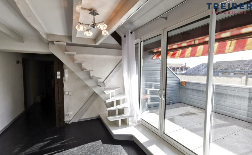 Belfort : Lot de deux appartements plein centre ville type T4 AVEC TERRASSE + un studio meublé de 21.35 au der